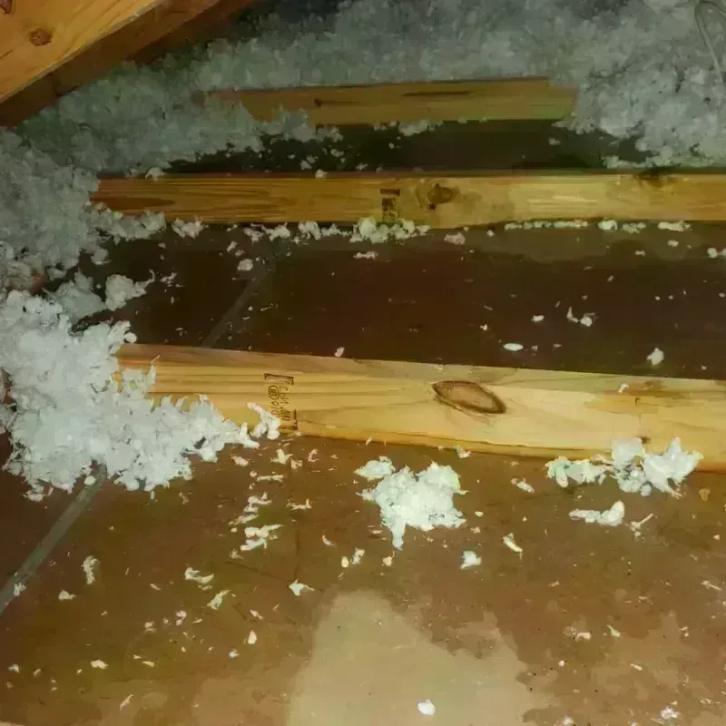 Attic Water Damage in Lamoille County, VT